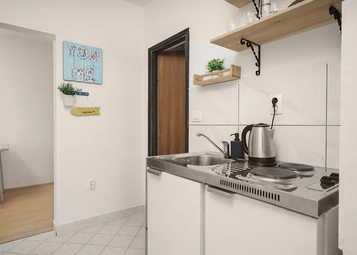 Gasthuis Frida And 3*